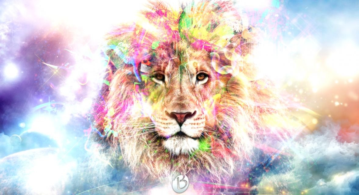 Cool Lion Wallpapers Hd , HD Wallpaper & Backgrounds
