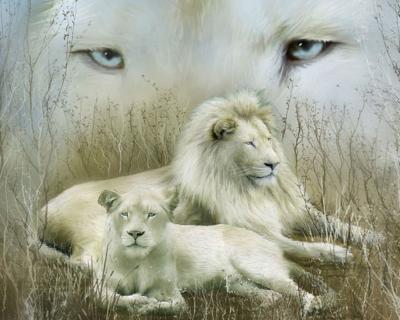 Download Hd White Lion Pc Wallpaper Id - Egyptian You See Today You Shall See Them No More , HD Wallpaper & Backgrounds