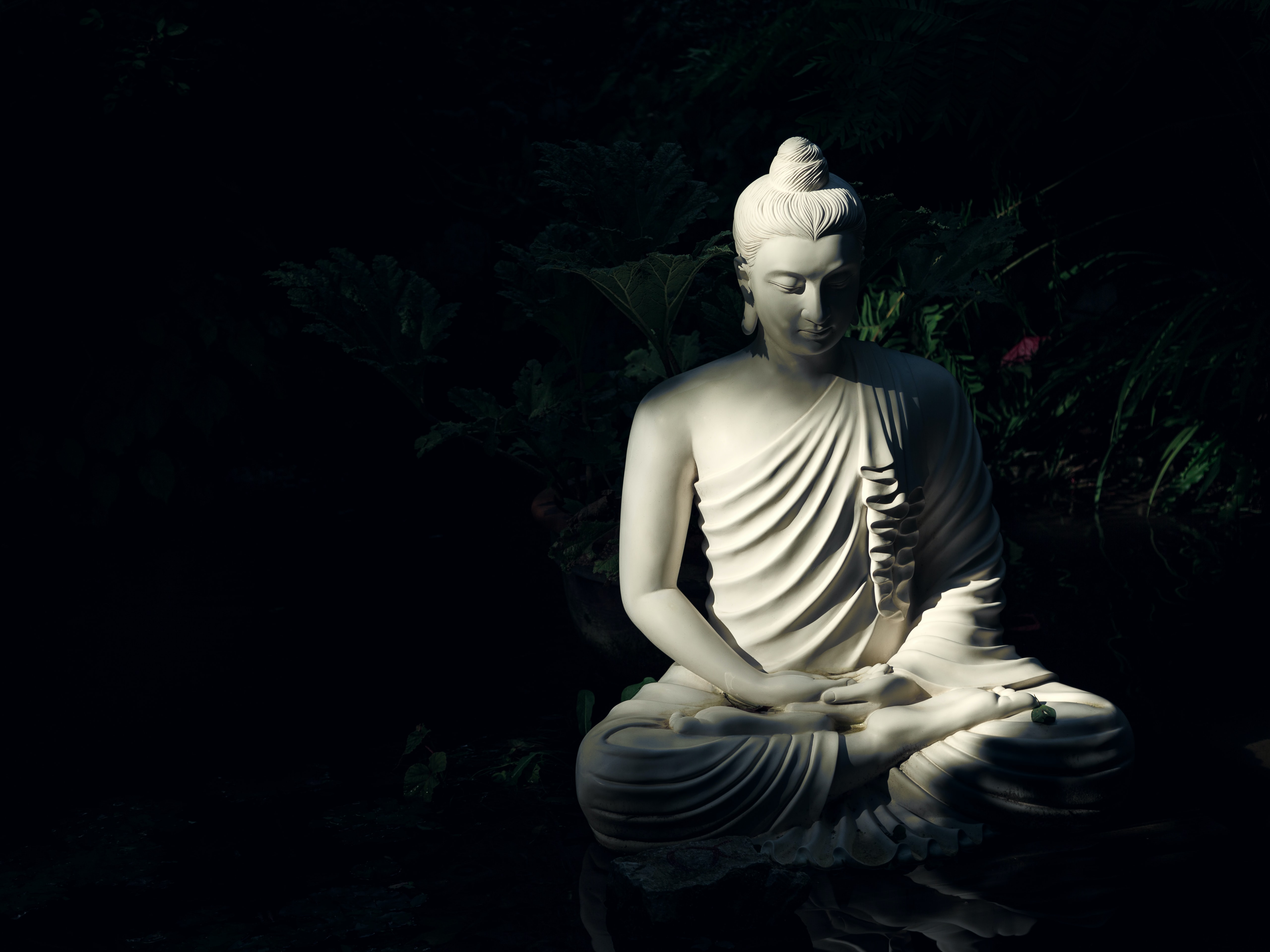 Meditate Buddha , HD Wallpaper & Backgrounds