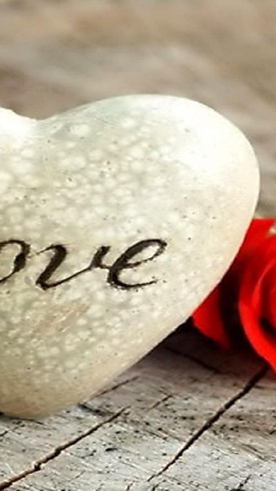 Best Love Wallpapers For Mobile Phones Wallpaper - Flower Whatsapp Dp Love , HD Wallpaper & Backgrounds