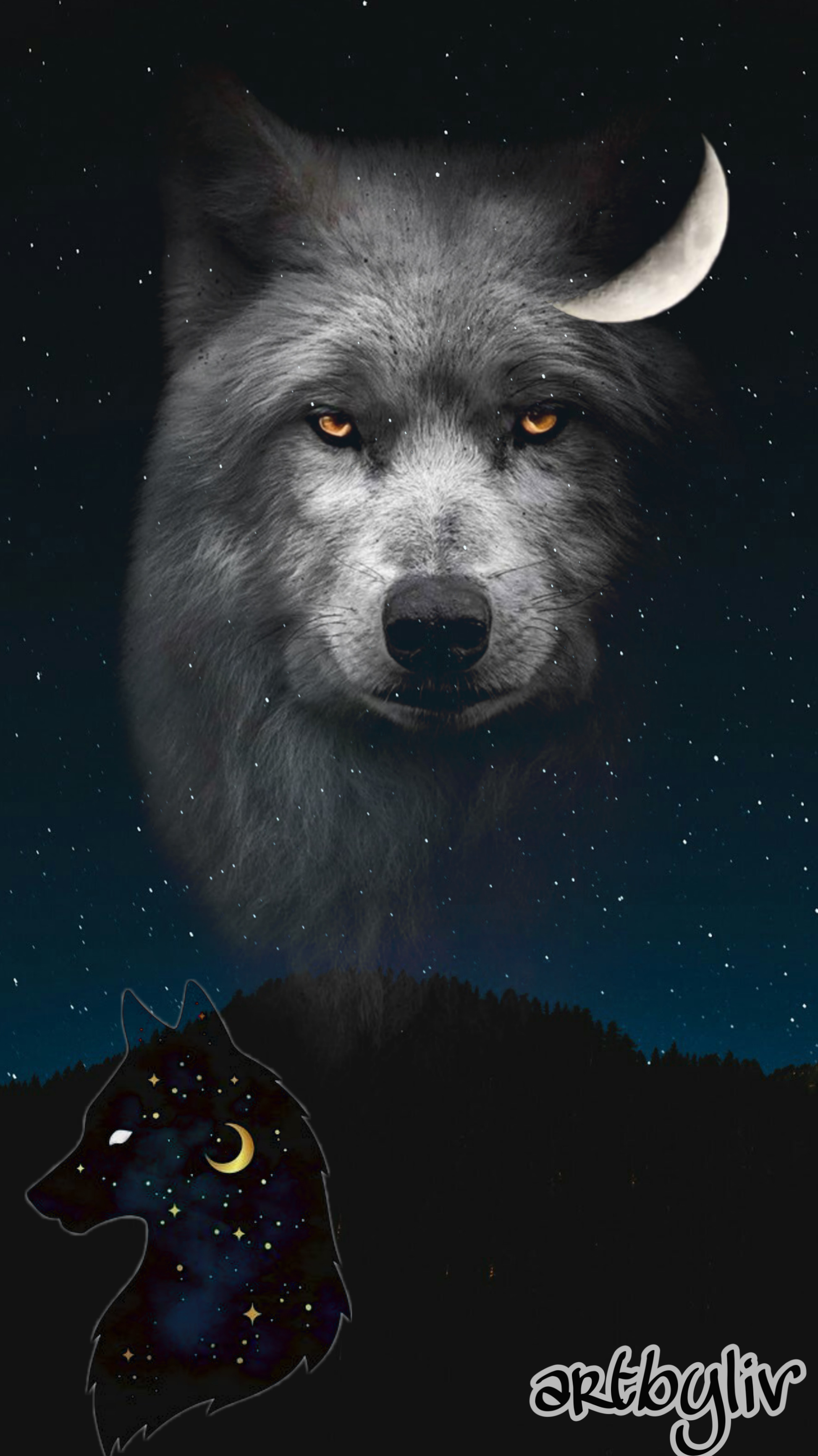 Wolf Iphone Wallpaper 

~details~ 
 Night Background , HD Wallpaper & Backgrounds