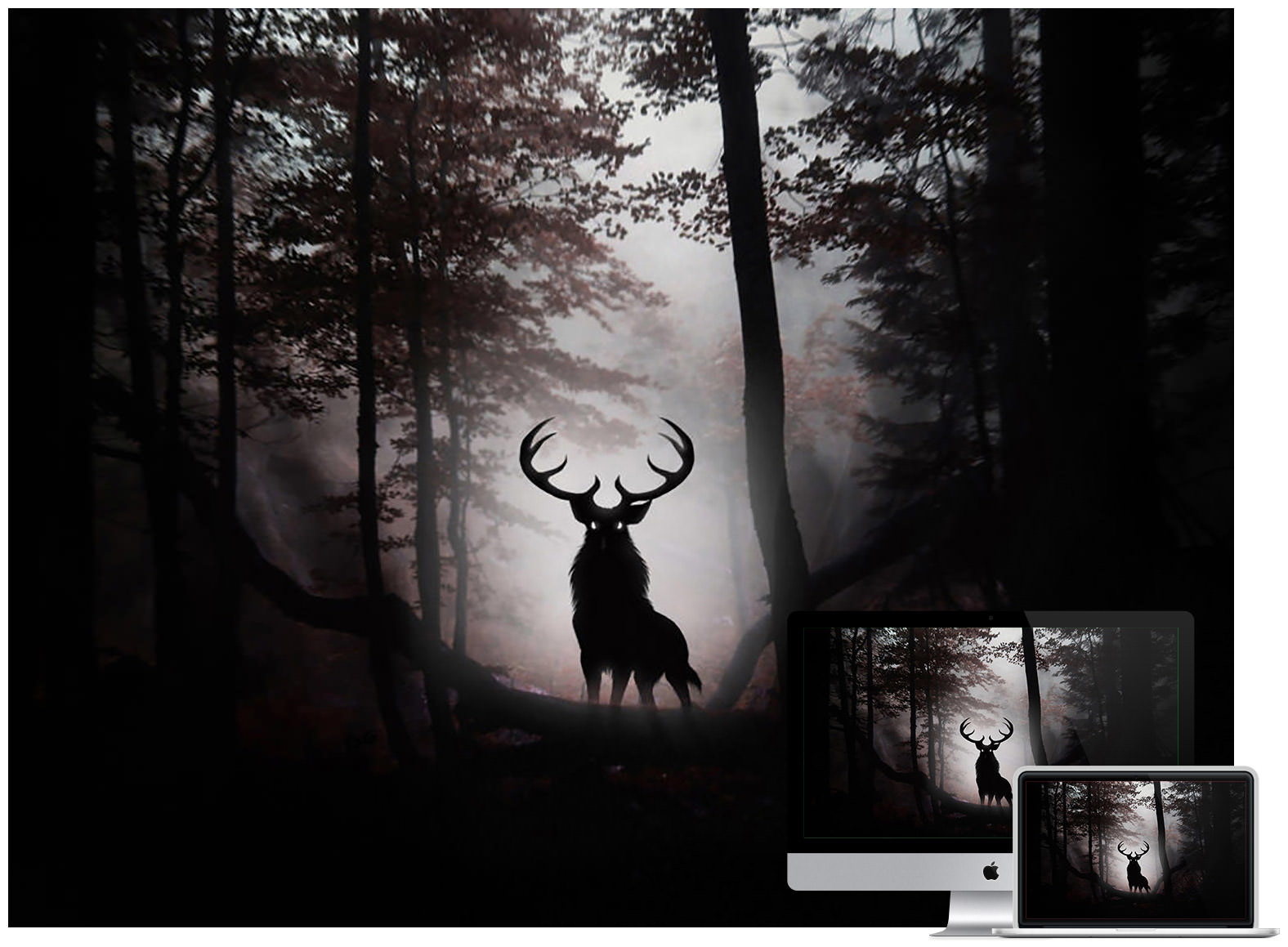 Deer In Night Wallpaper - Deer In Dark Woods , HD Wallpaper & Backgrounds