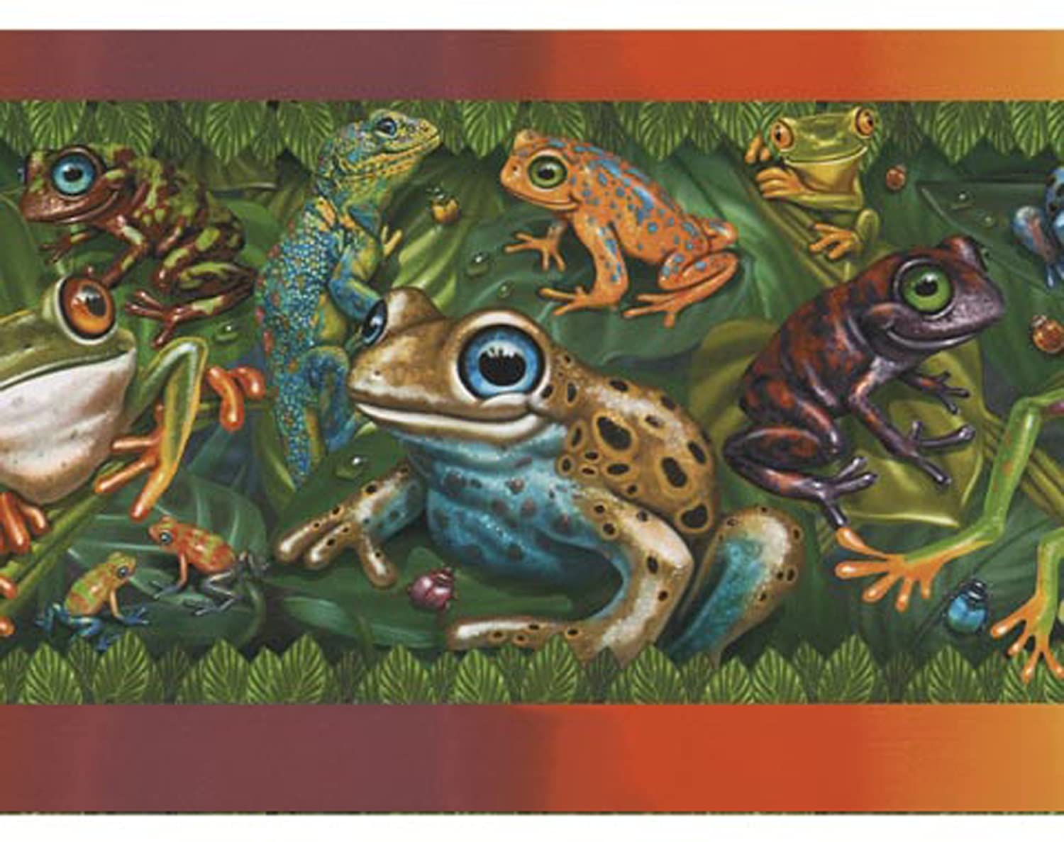 Frog Prepasted Wall Border Jj6826b - Frog Wallpaper Border , HD Wallpaper & Backgrounds