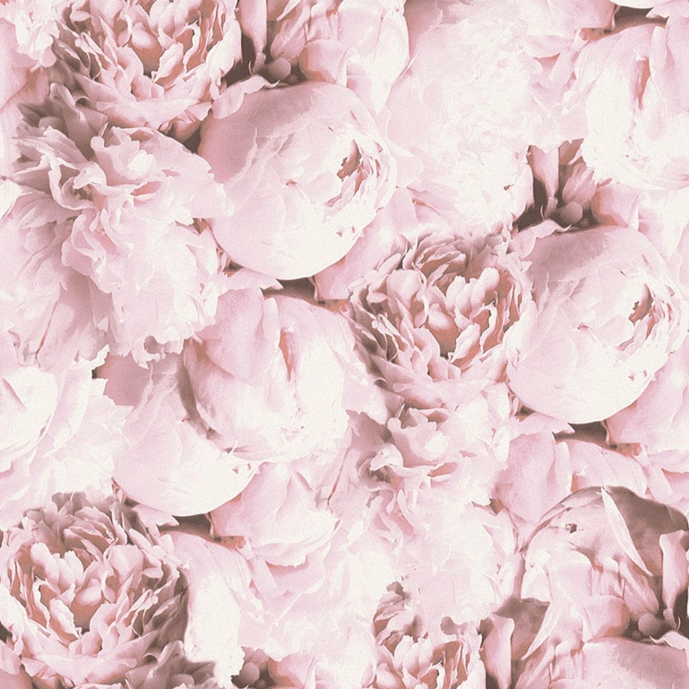 Floral , HD Wallpaper & Backgrounds