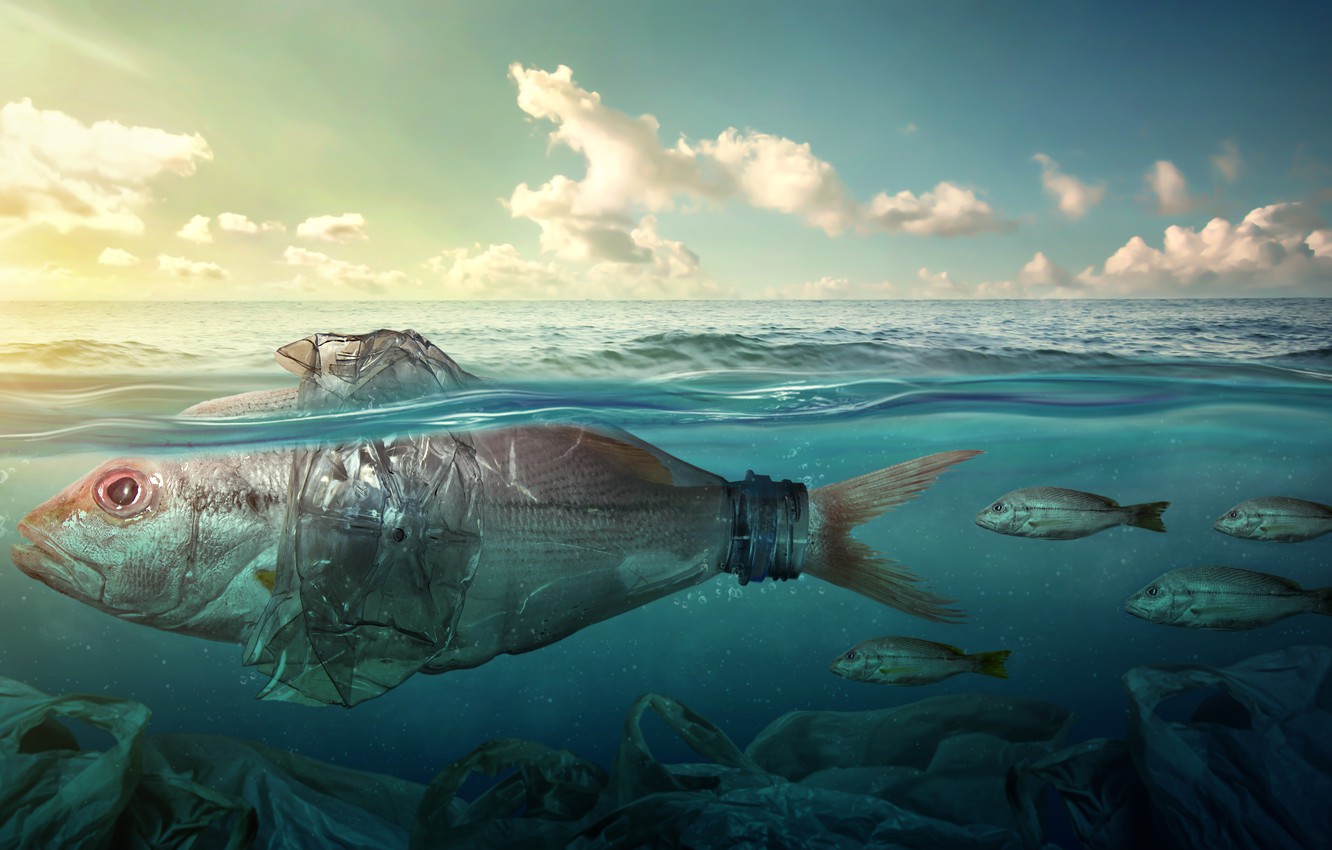 Photo Wallpaper Sea, Fish, Garbage, The Ocean, Bottle, - Ocean Pollution , HD Wallpaper & Backgrounds