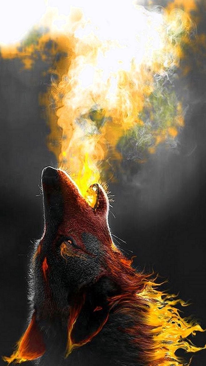 Cool Wolf Phone Wallpapers - Cool Animal Wallpapers For Iphone , HD Wallpaper & Backgrounds