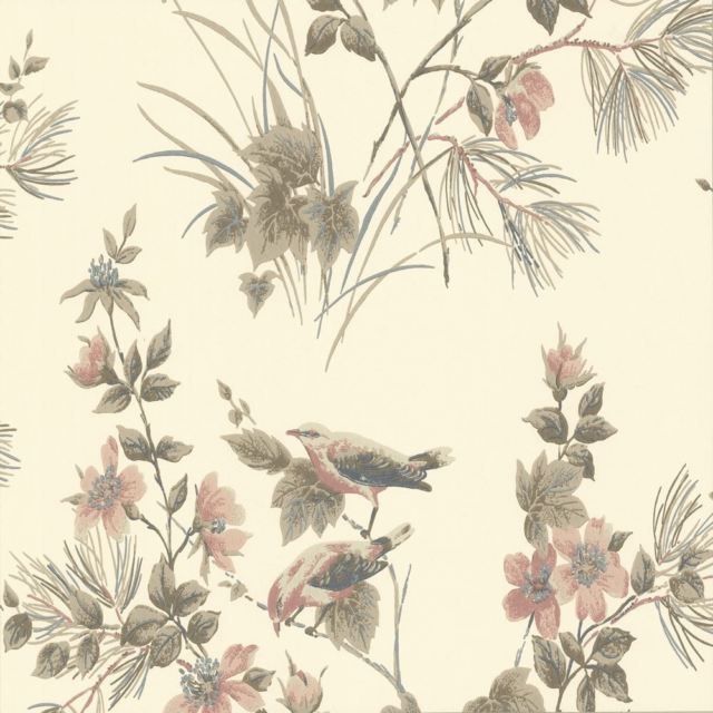 Bird , HD Wallpaper & Backgrounds