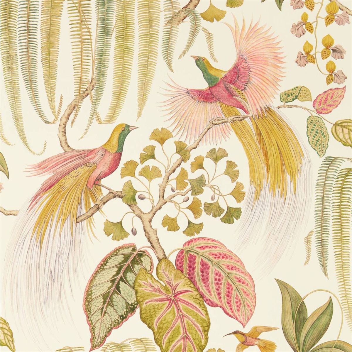 Sanderson Wallpaper Bird Of Paradise Olive - Bird Of Paradise Wallpaper Sanderson , HD Wallpaper & Backgrounds
