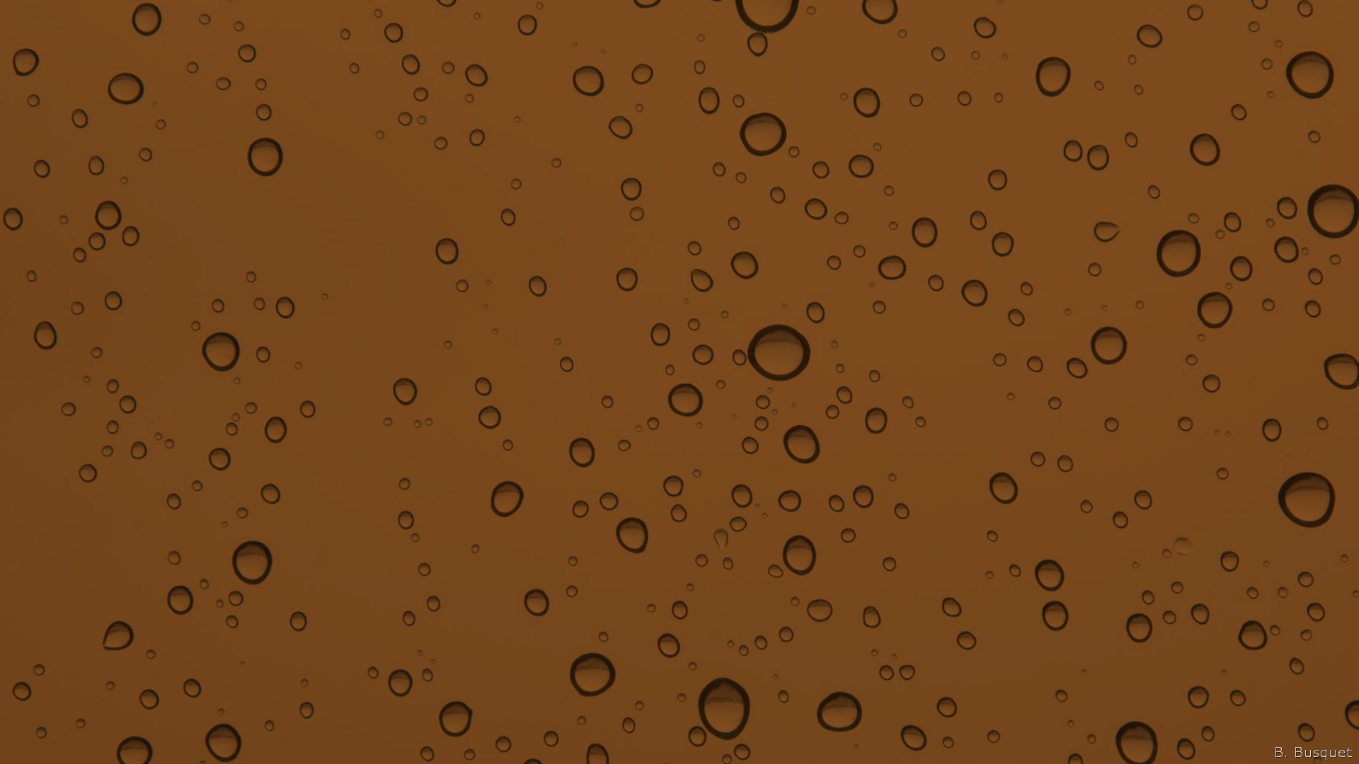 Wallpaper With Water Drops - Moisture , HD Wallpaper & Backgrounds