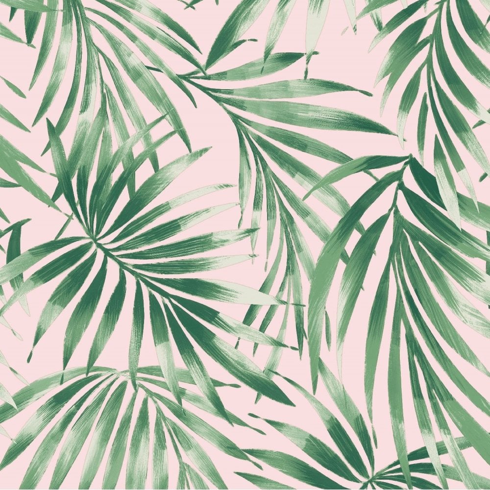 Tropical Wallpaper - Tropical Wallpaper - Tropical Wallpaper Pink , HD Wallpaper & Backgrounds