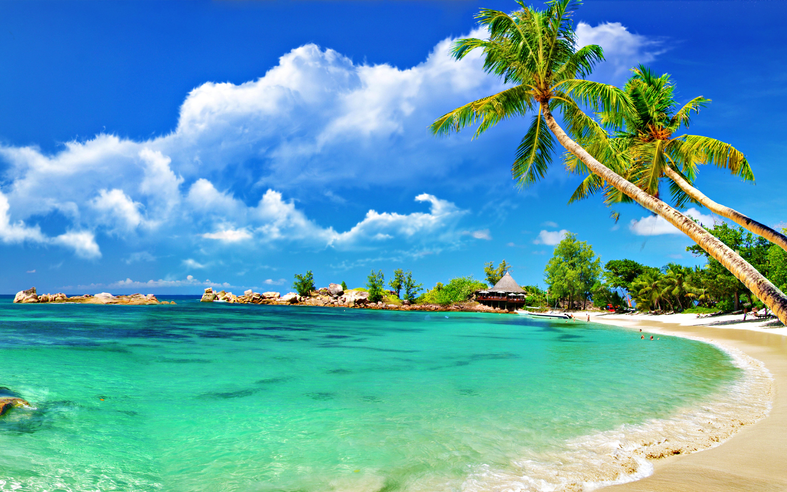 Tropical Beach Wallpaper Images 
 Data-src /w/full/8/c/e/356628 - Beach Background For Zoom , HD Wallpaper & Backgrounds