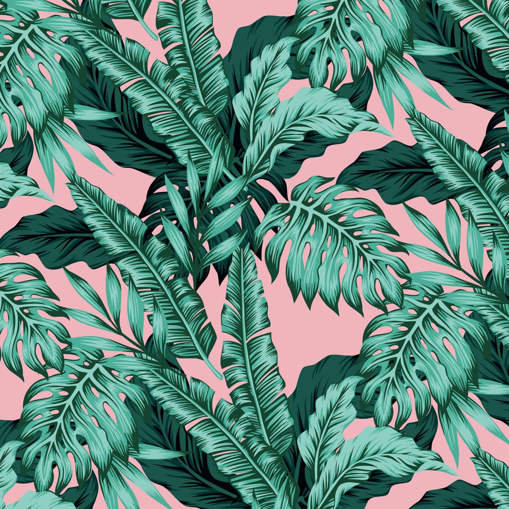 Tropical Wallpaper , HD Wallpaper & Backgrounds