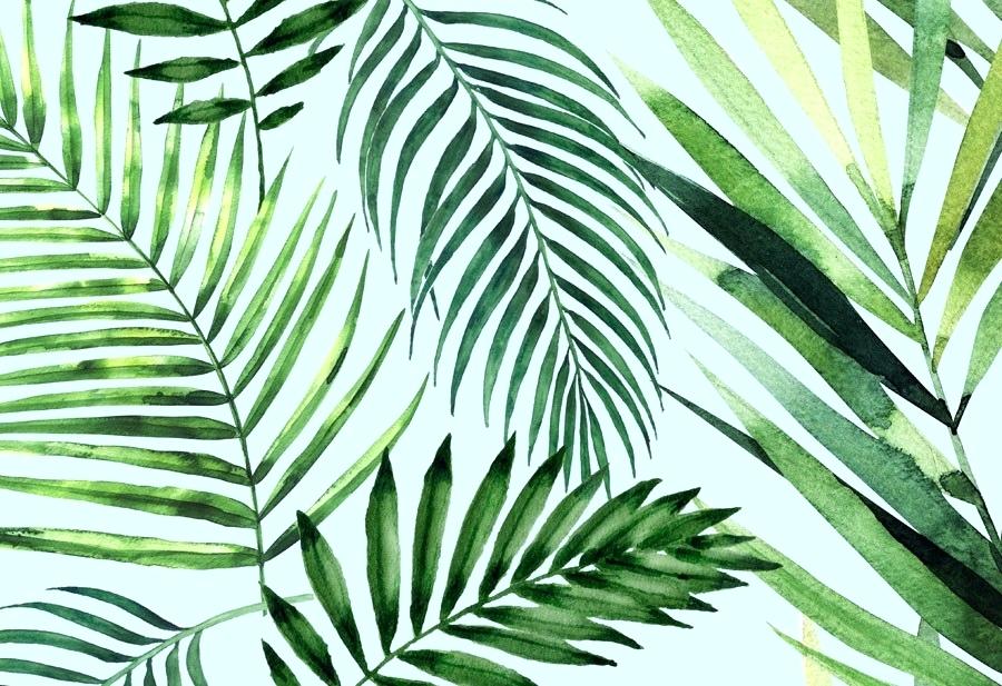 Tropical Wallpaper Tumblr - Tropical Ferns , HD Wallpaper & Backgrounds