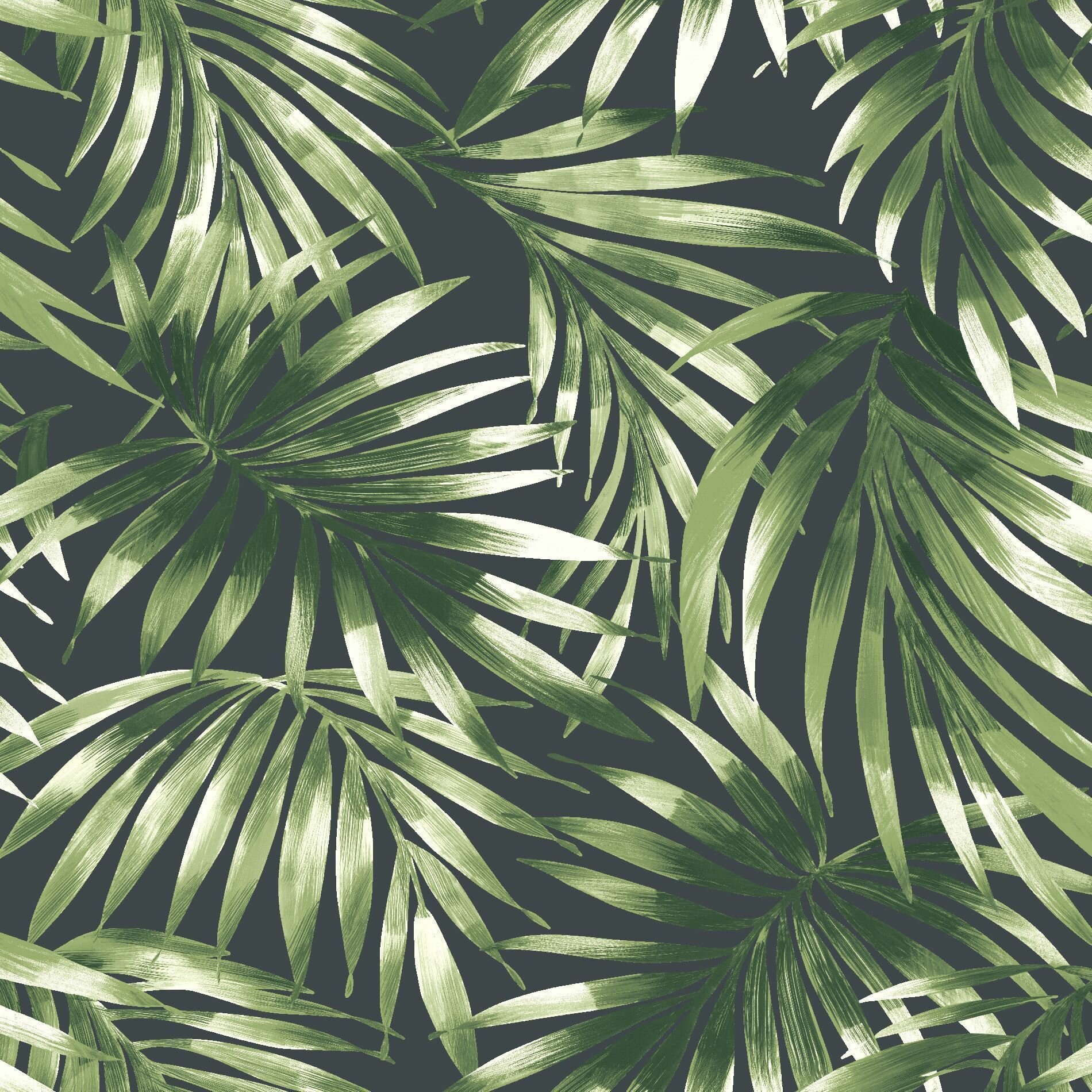 Elegant Leaves Green , HD Wallpaper & Backgrounds
