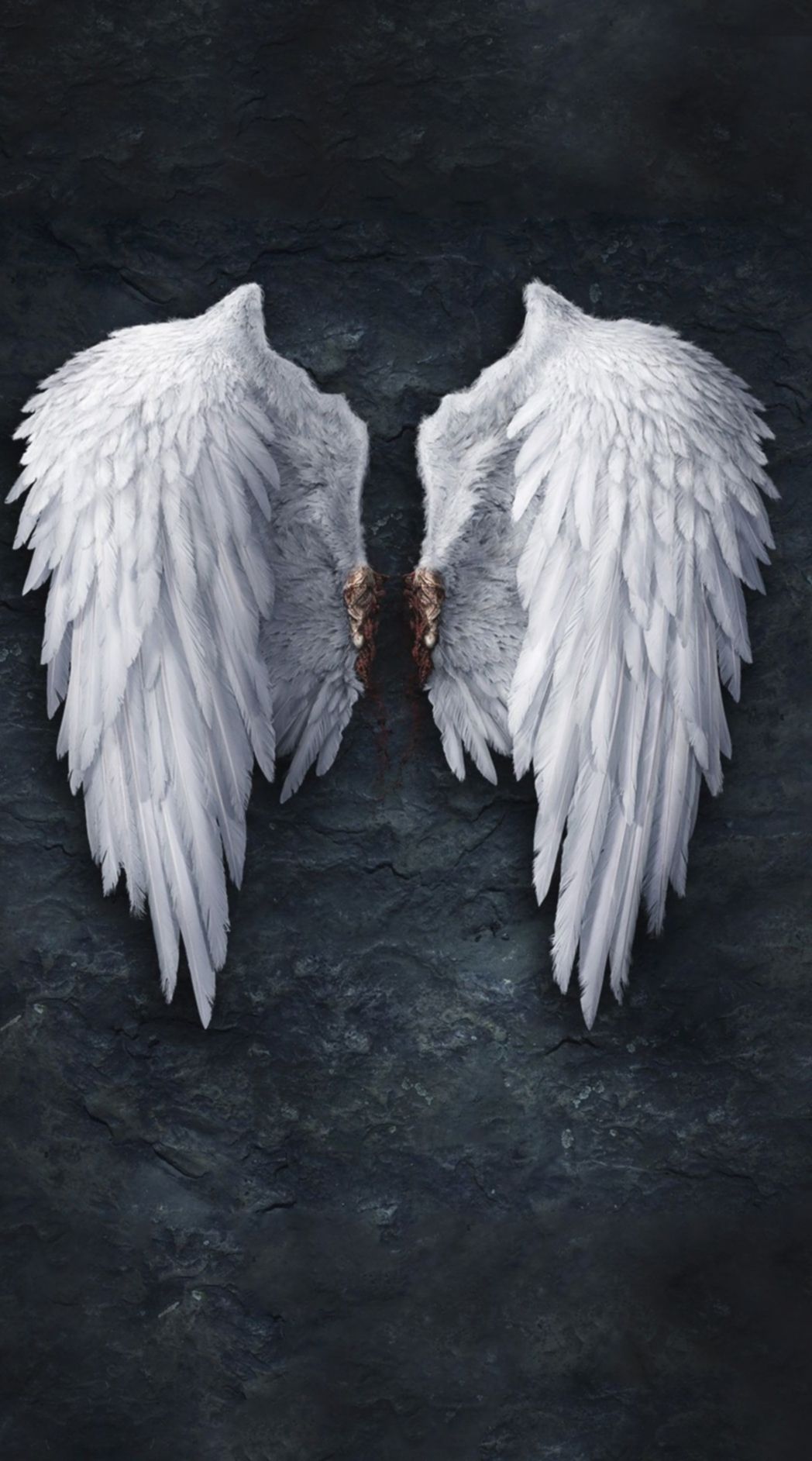 Angel Wings , HD Wallpaper & Backgrounds