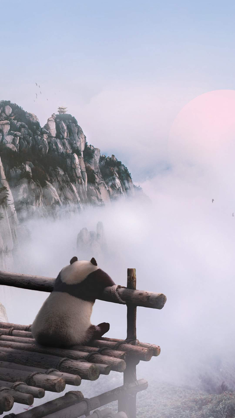 Panda Hd Wallpaper For Iphone , HD Wallpaper & Backgrounds