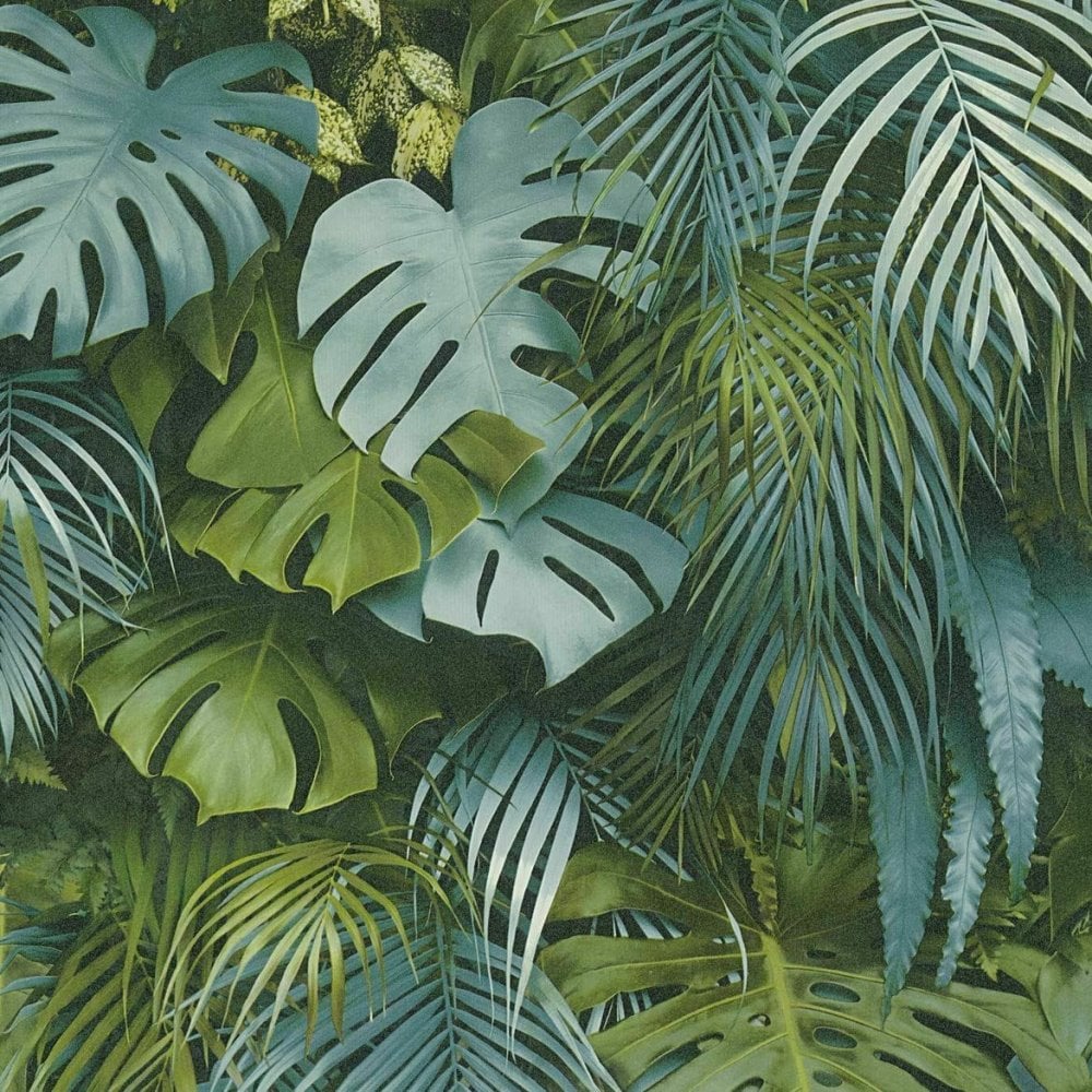 Tropical Plant Wallpaper Uk , HD Wallpaper & Backgrounds