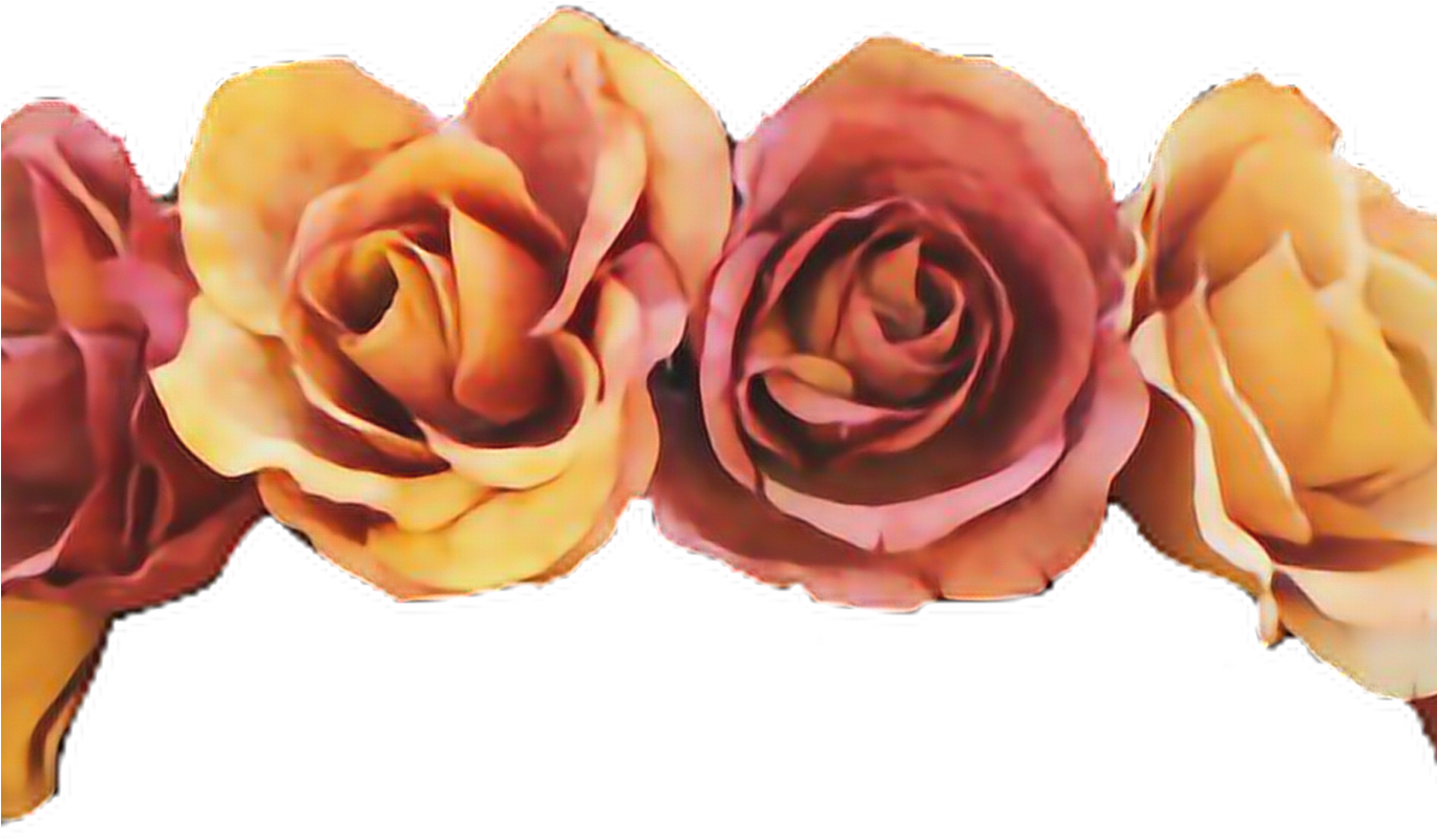 Flower Crown Transparent Gallery Flower Wallpaper Hd - Orange Flower