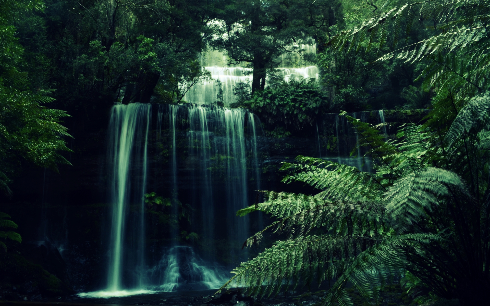 Forest Waterfall Wallpaper - Small Waterfall In Jungle , HD Wallpaper & Backgrounds