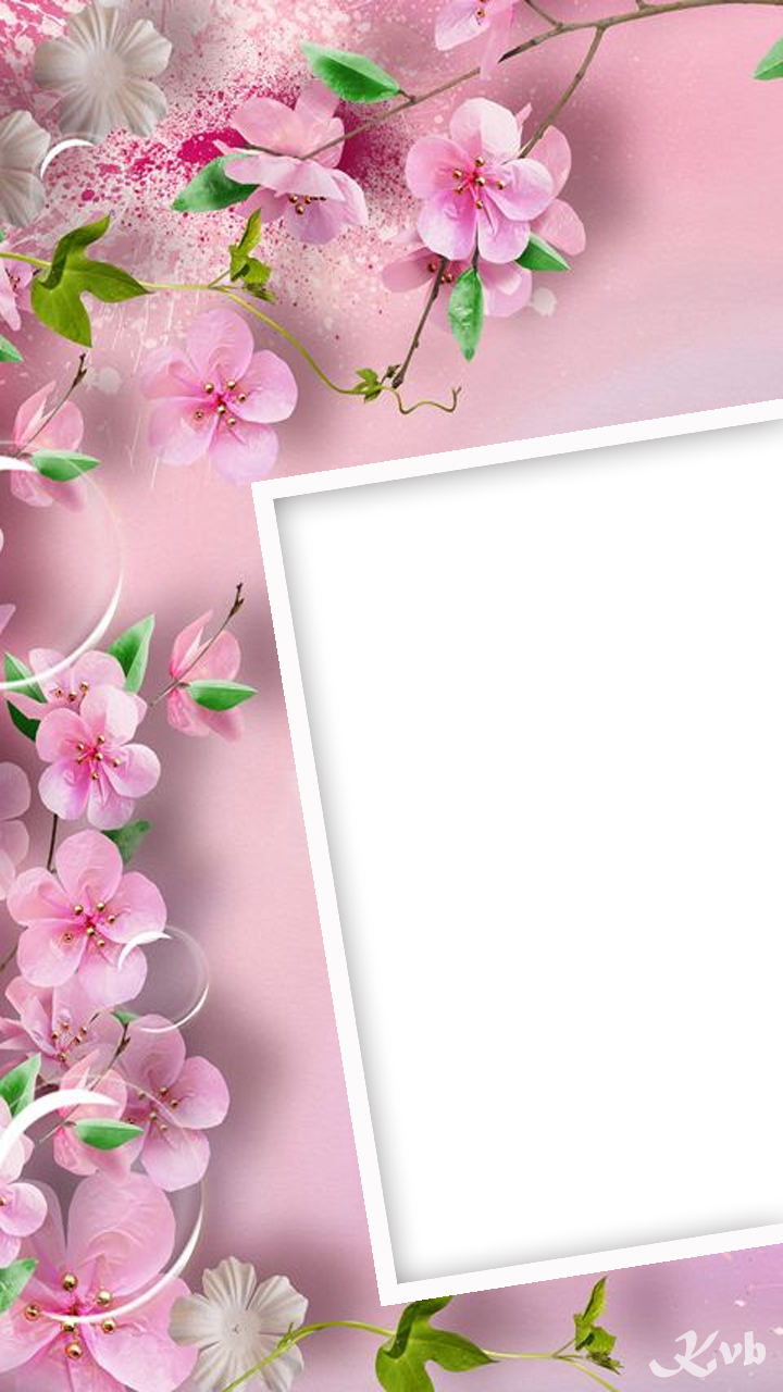 Pink Flower Frame - Android Flower Wallpaper Hd , HD Wallpaper & Backgrounds