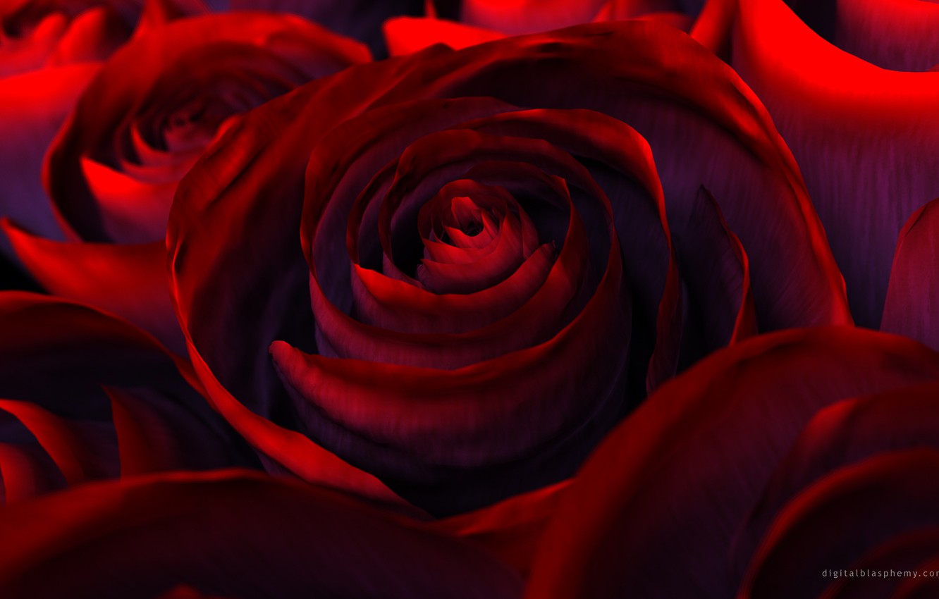 Photo Wallpaper Flowers, Rendering, Rose, Beauty, Petals, - Nature Flower Red Beautiful , HD Wallpaper & Backgrounds