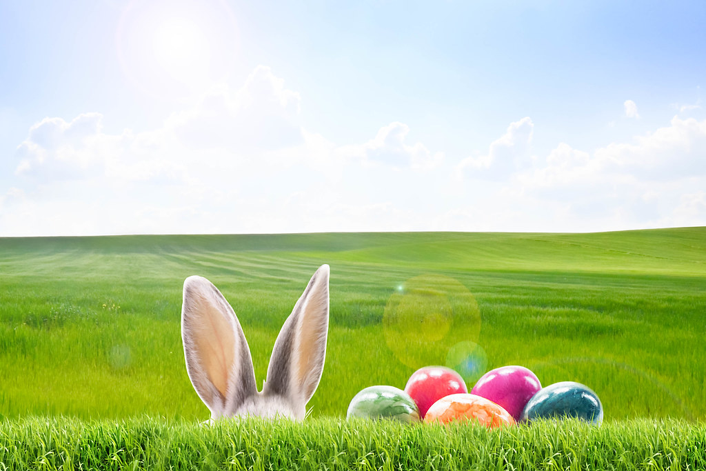 Happy Easter , HD Wallpaper & Backgrounds