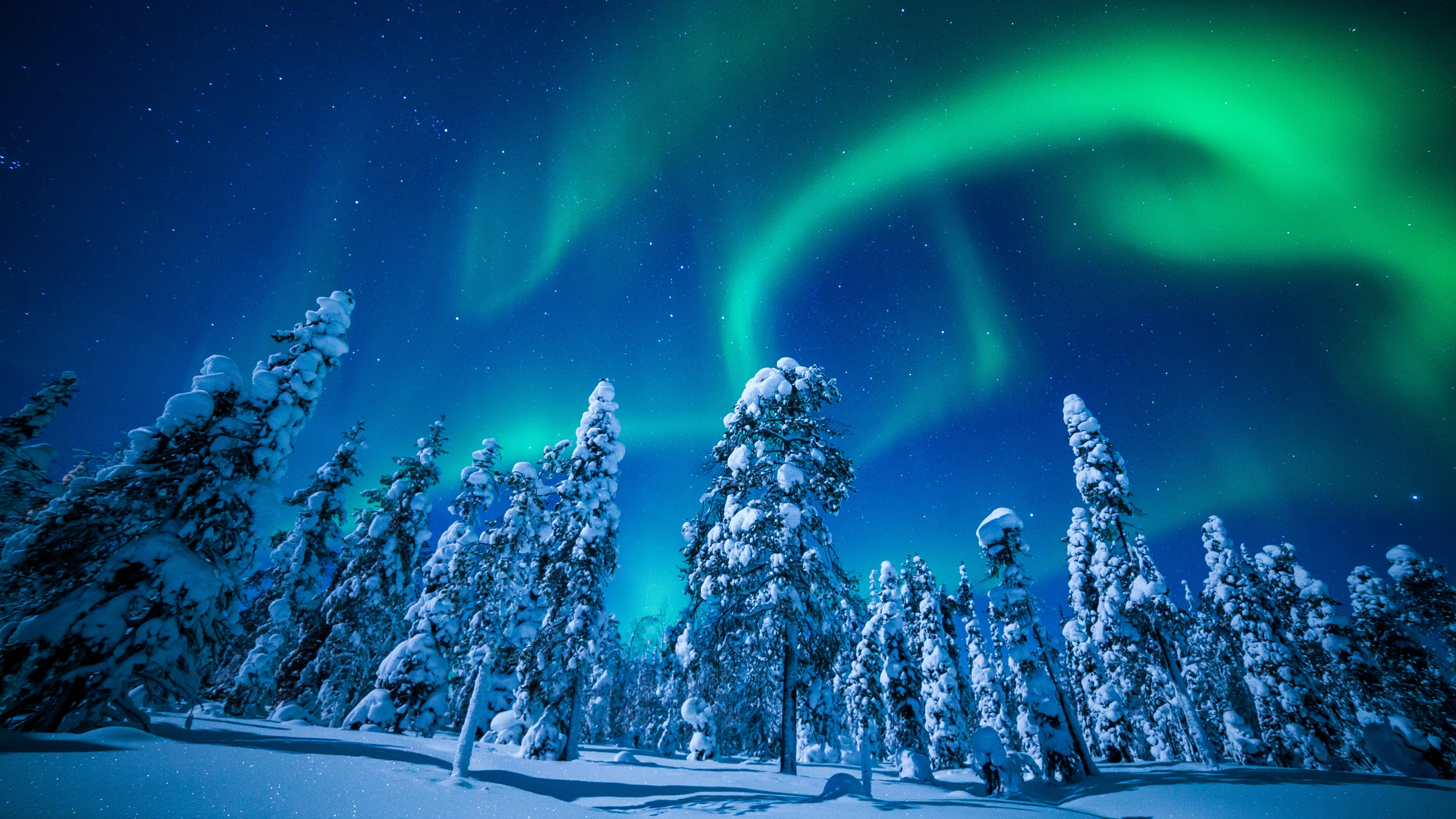Northern Lights Finland Snow , HD Wallpaper & Backgrounds