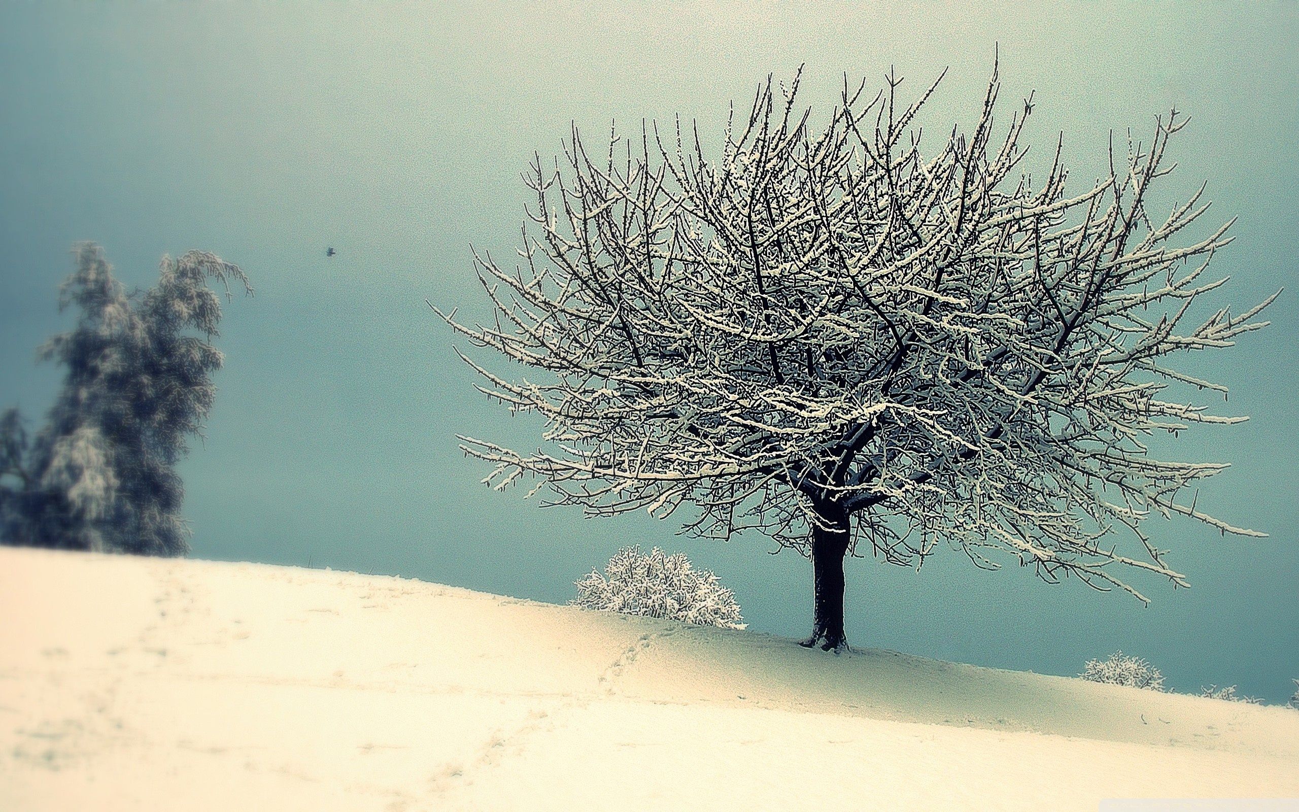 Vintage Winter Landscape ❤ 4k Hd Desktop Wallpaper - Vintage Winter Desktop Background , HD Wallpaper & Backgrounds