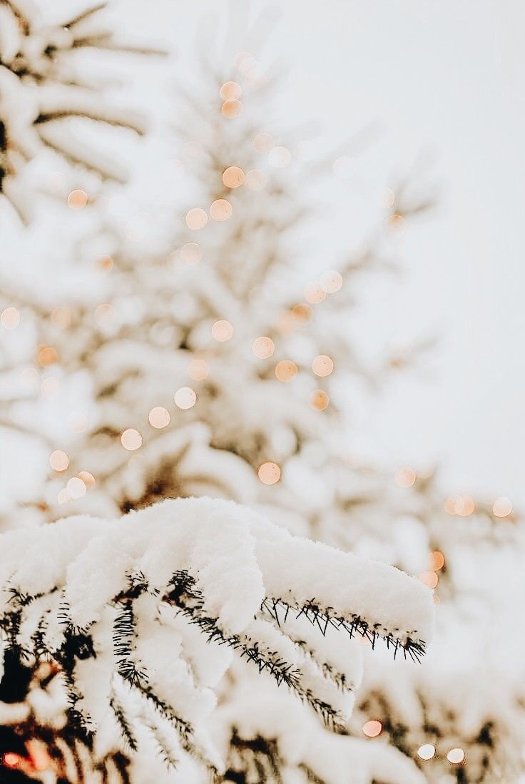 Snow ,fairy Light On Christmas Tree, Winter Wallpaper, - Winter Wallpaper Iphone 11 , HD Wallpaper & Backgrounds