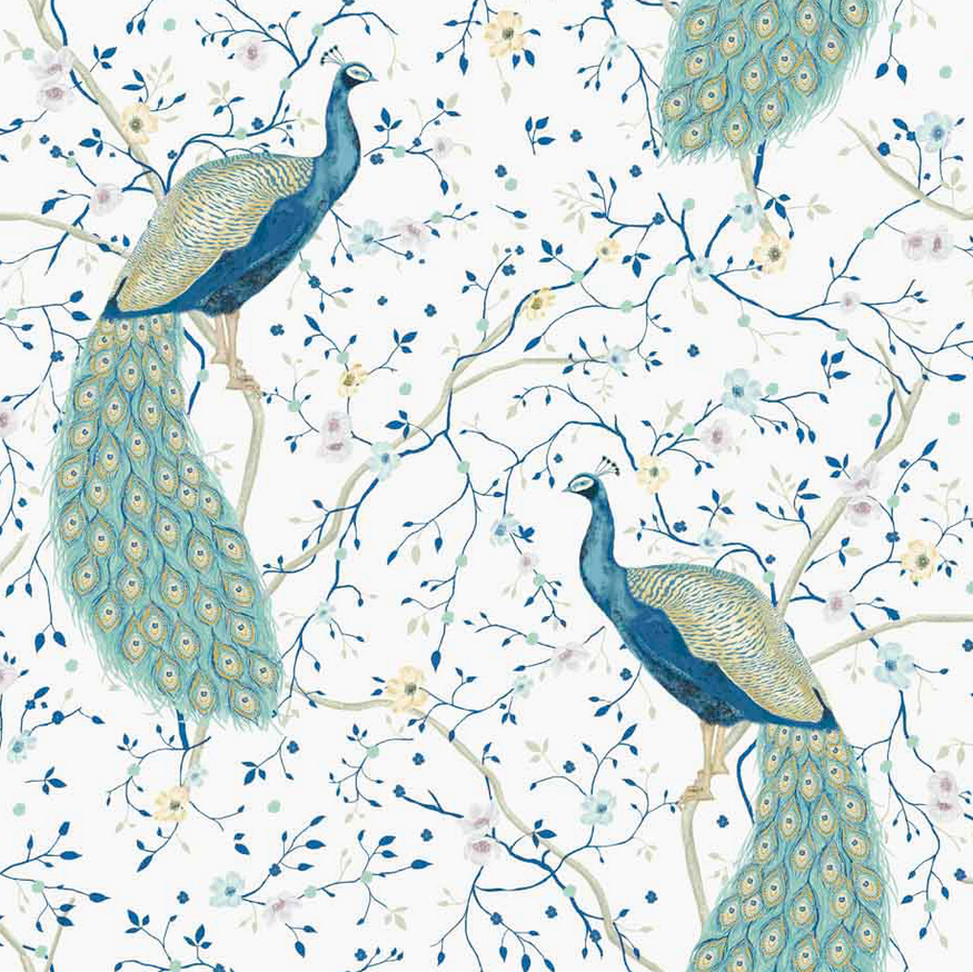 Peacock - Blues , HD Wallpaper & Backgrounds