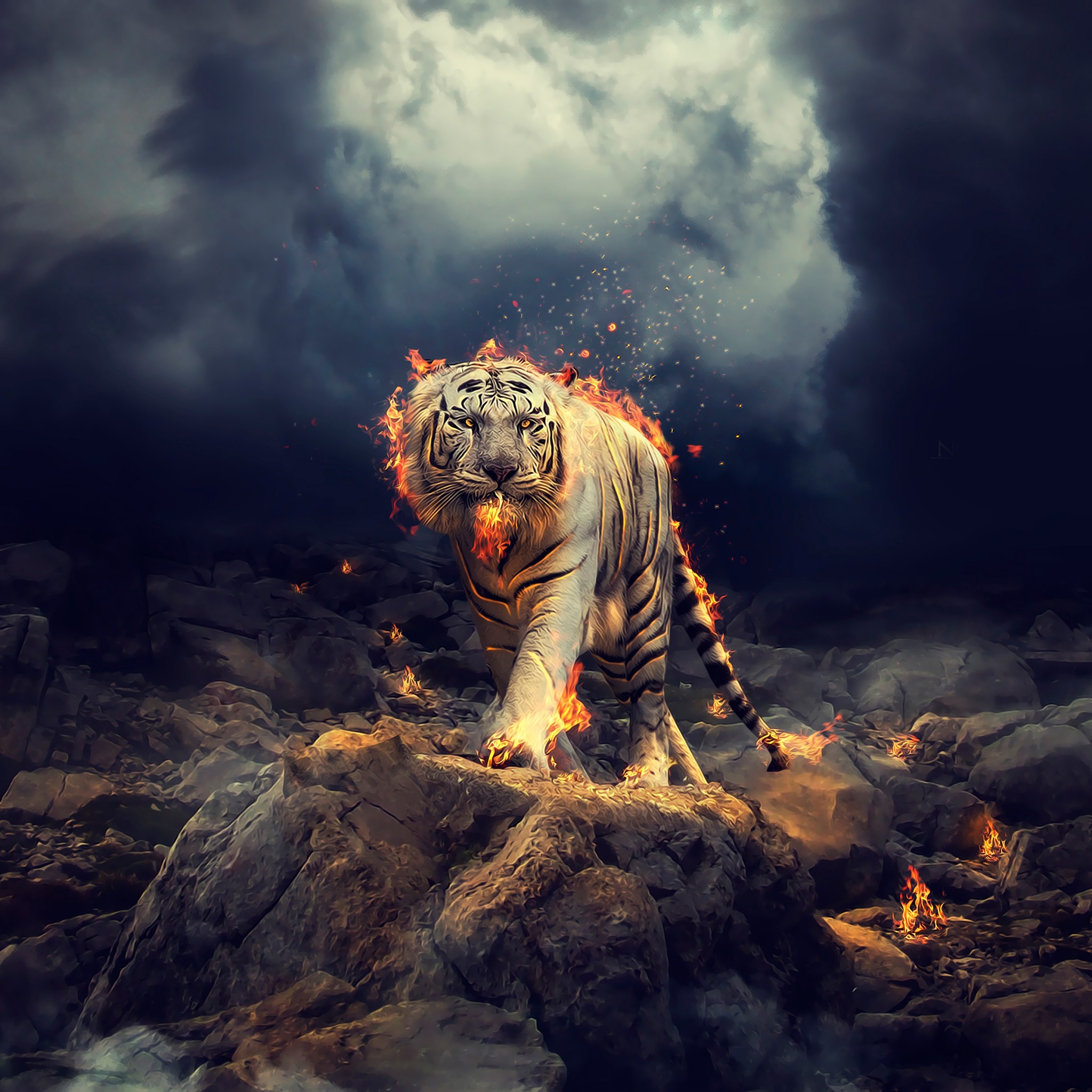 Fantasy Siberian Fire Tiger Tablet Wallpaper - Tiger Cool , HD Wallpaper & Backgrounds