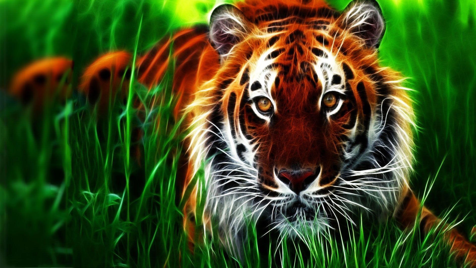 Animal Tiger 3d Wallpaper - Royal Bengal Tiger Angry , HD Wallpaper & Backgrounds