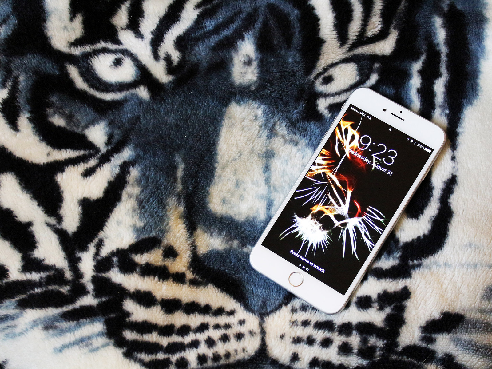 Get Your Eye Of The Tiger On With These Ferocious Wallpapers - Smartphone , HD Wallpaper & Backgrounds