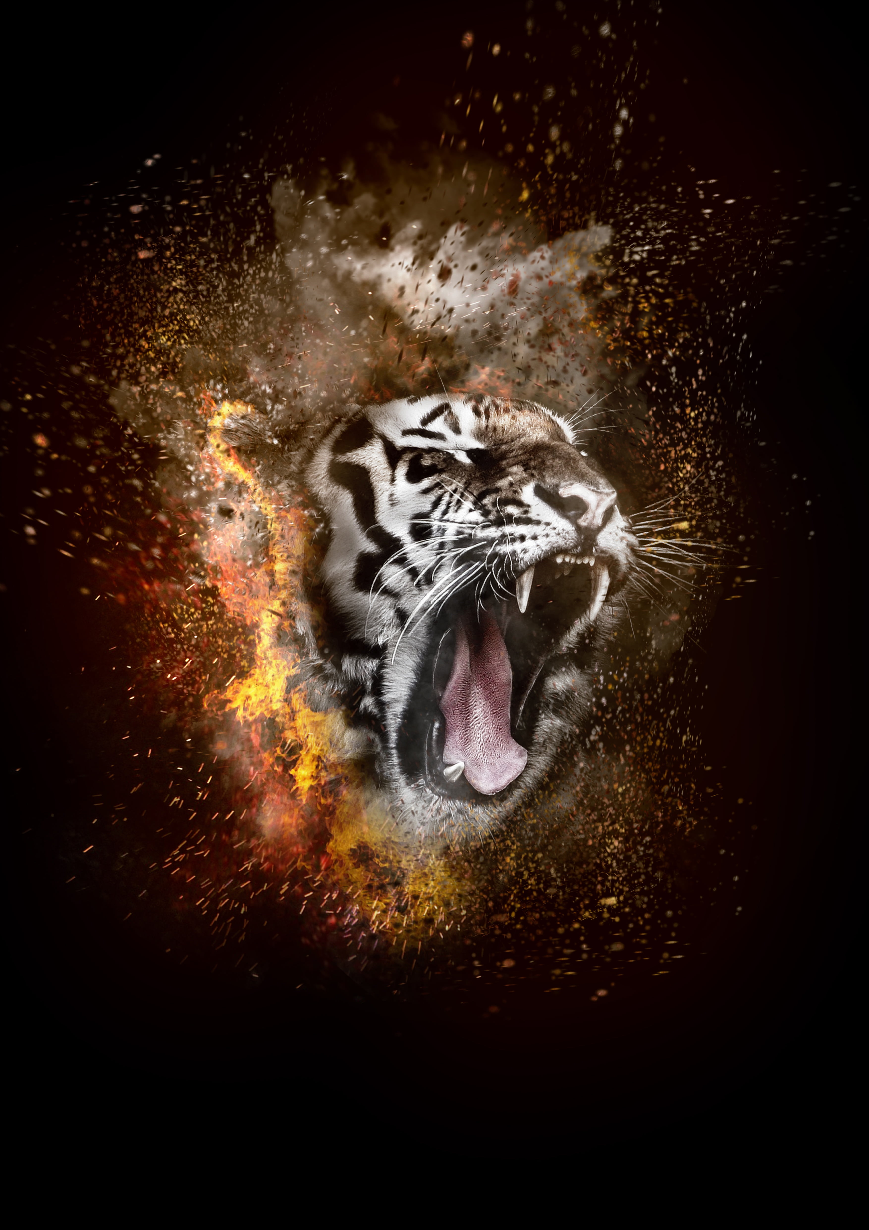 Fire Tiger Wallpaper Hd , HD Wallpaper & Backgrounds