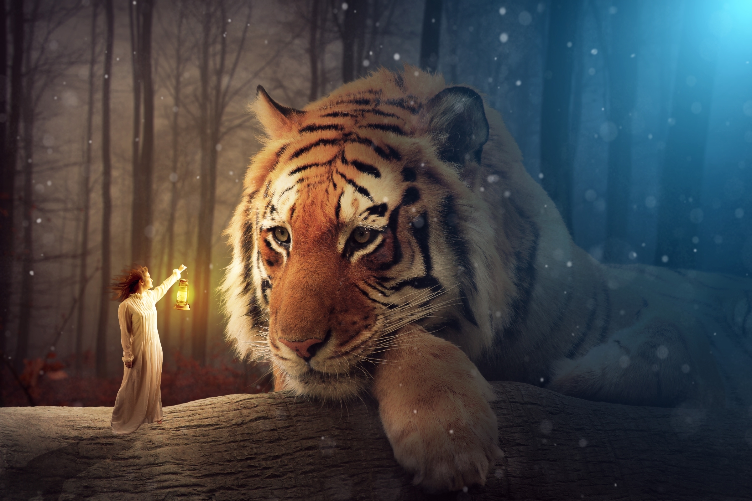 Tiger And Girl , HD Wallpaper & Backgrounds