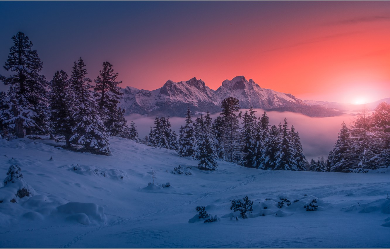 Photo Wallpaper Winter, Snow, Trees, Landscape, Sunset, - Snow , HD Wallpaper & Backgrounds