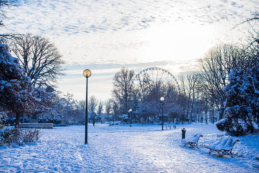 Snow, Paris, Winter, Nature, Landscape, Snowy, White, - Paris Winter Wallpaper Hd , HD Wallpaper & Backgrounds