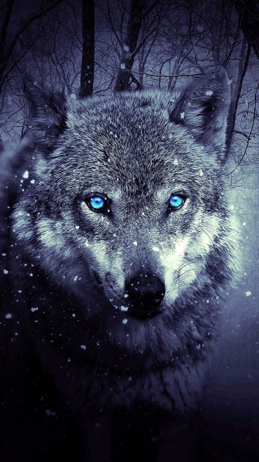 Iphone 6s Wallpapers Hd Wolf Wolf Wallpapers - Wolf Wallpaper Iphone Xs Max , HD Wallpaper & Backgrounds