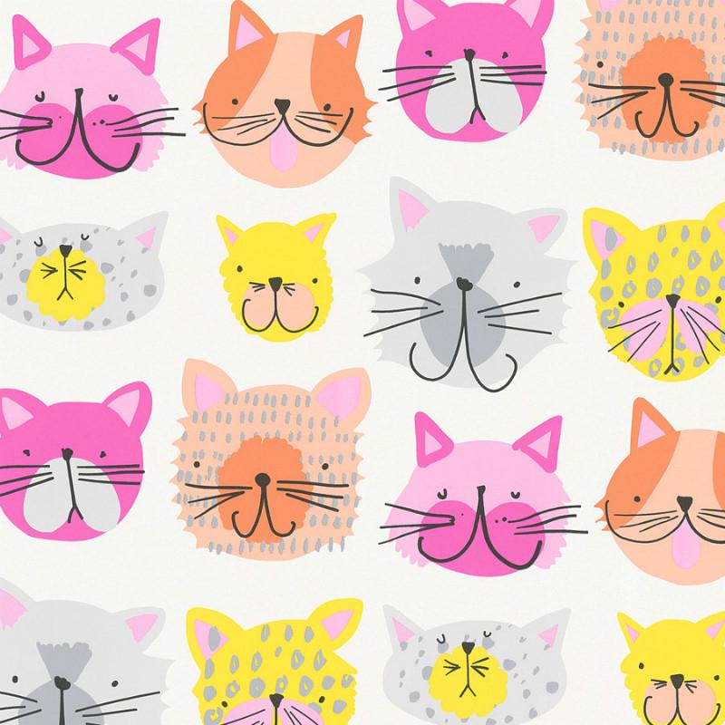 Boys And Girls Multicoloured Cats Wallpaper - Cat Wallpaper Girls , HD Wallpaper & Backgrounds