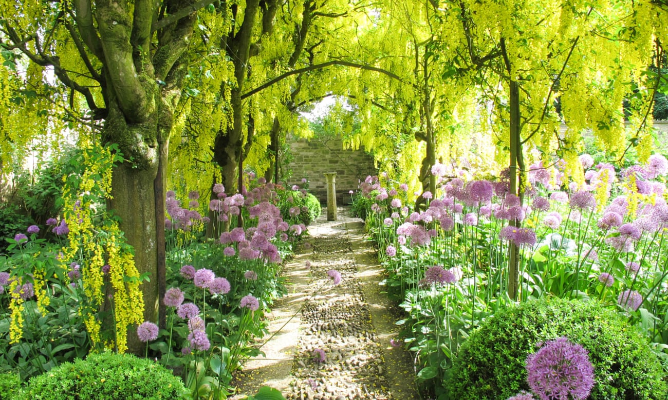 Beautiful Garden Background - Beautiful Garden , HD Wallpaper & Backgrounds