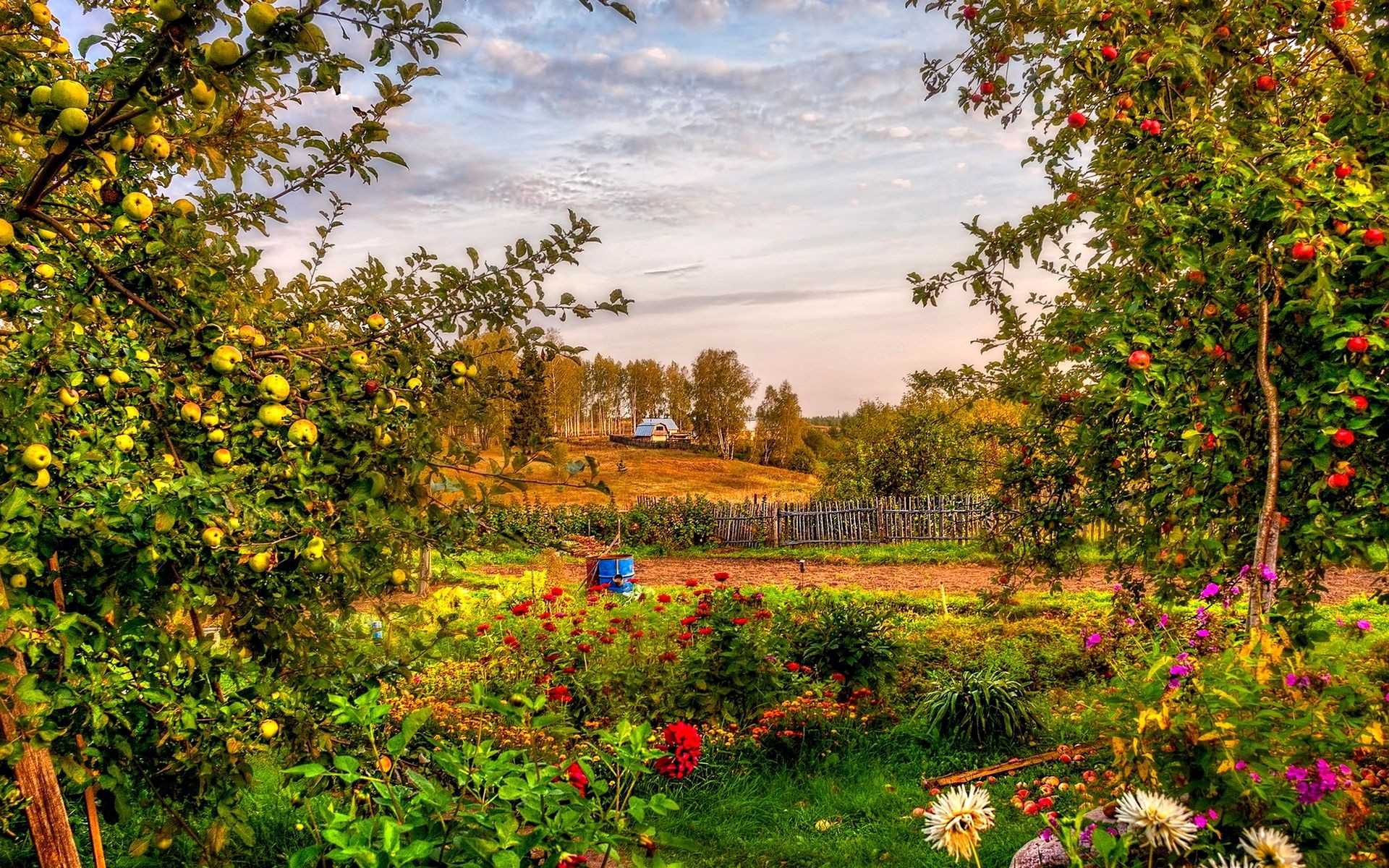 Countryside, Garden, - High Resolution Garden Background , HD Wallpaper & Backgrounds