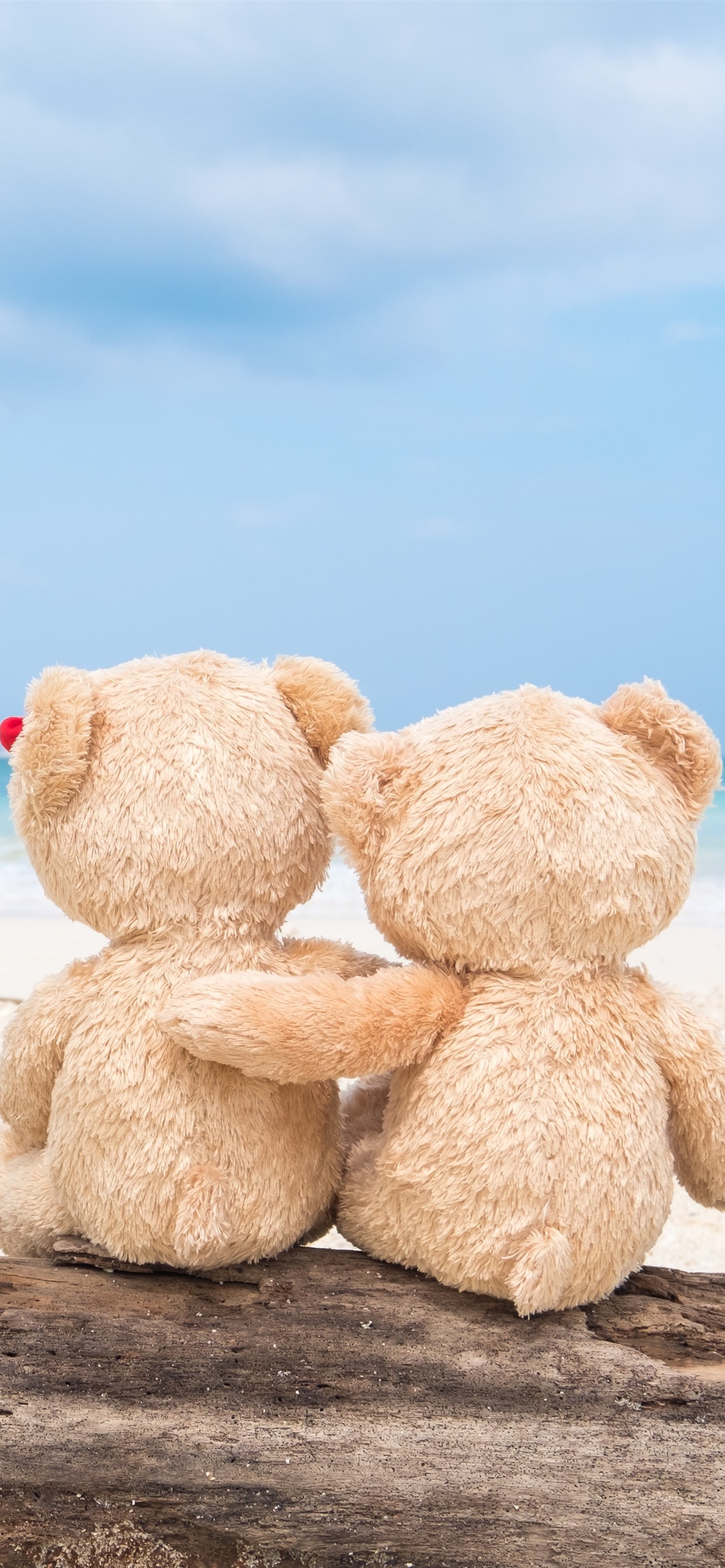 Iphone Wallpaper Teddy Bear, Back View, Beach, Sea - Teddy Bears In The Beach , HD Wallpaper & Backgrounds