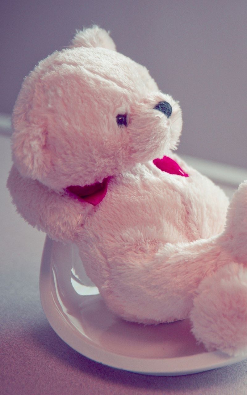 Wallpaper Soft Toy, Plate, Teddy Bear - Beautiful Whatsapp Dp Hd Images Download , HD Wallpaper & Backgrounds