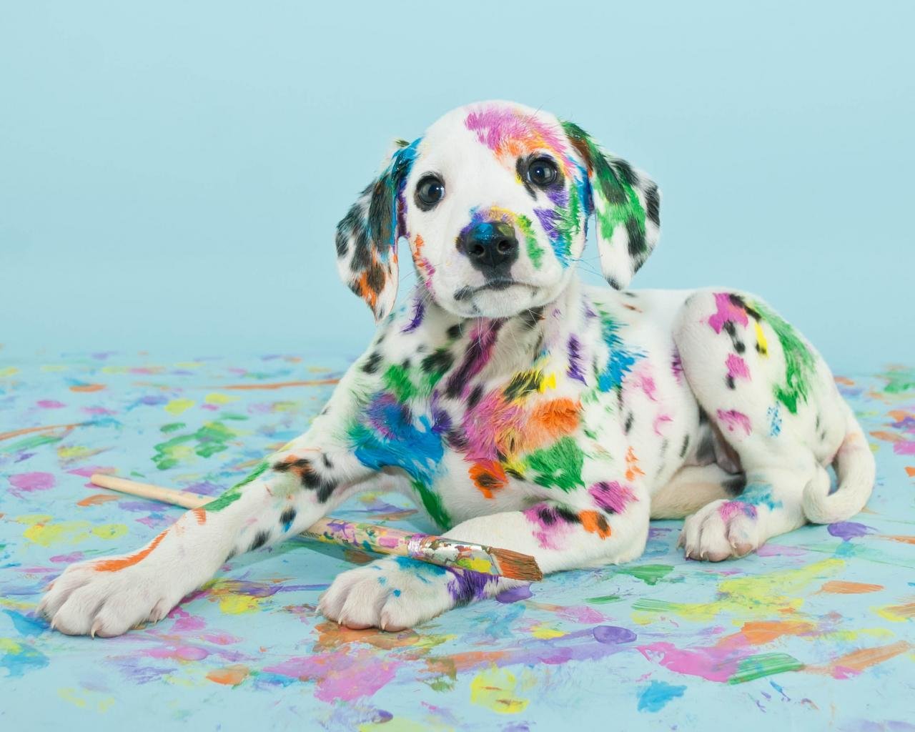 Awesome Puppy Free Wallpaper Id - Iconic Famous Dog Paintings , HD Wallpaper & Backgrounds