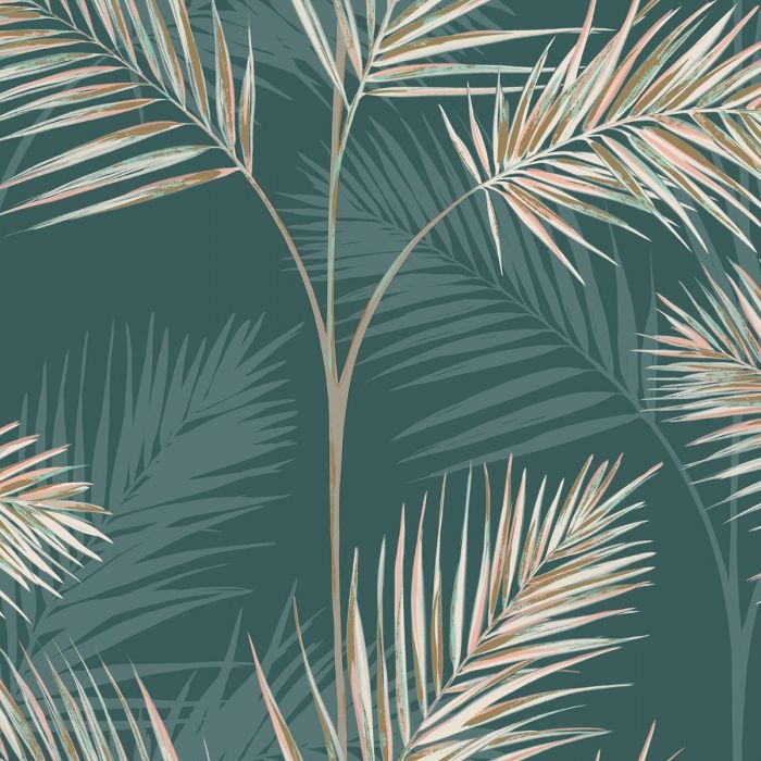 Palm Leaf , HD Wallpaper & Backgrounds