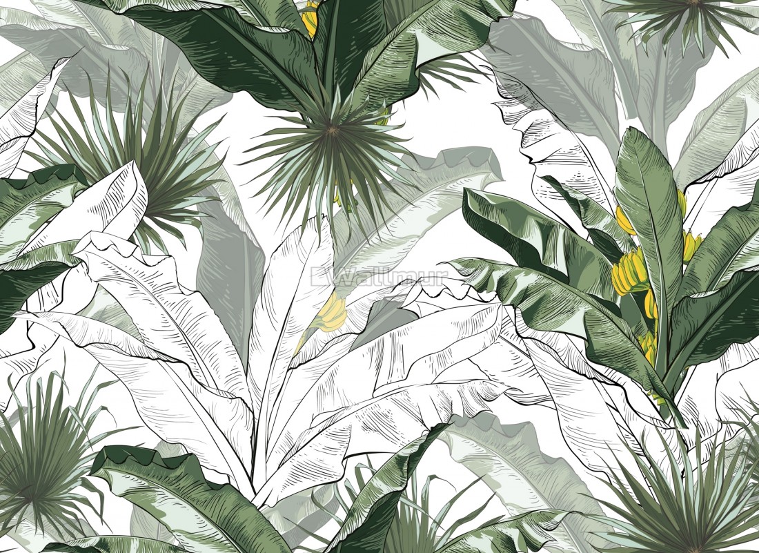 High Resolution Banana Leaf , HD Wallpaper & Backgrounds