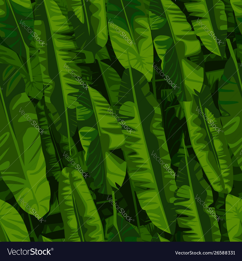 Banana Leaf Wallpaper Abstract Exotic Plant - Rainforest , HD Wallpaper & Backgrounds