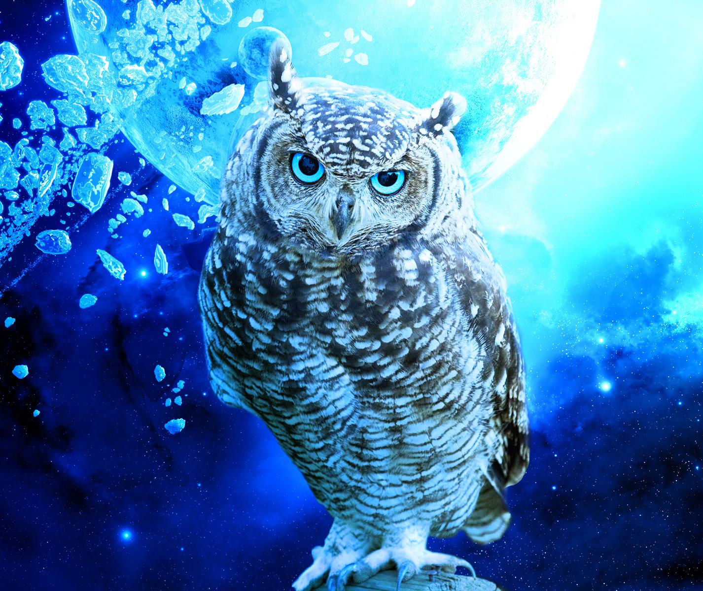 Blue Owl Wallpaper - Cool Owls , HD Wallpaper & Backgrounds
