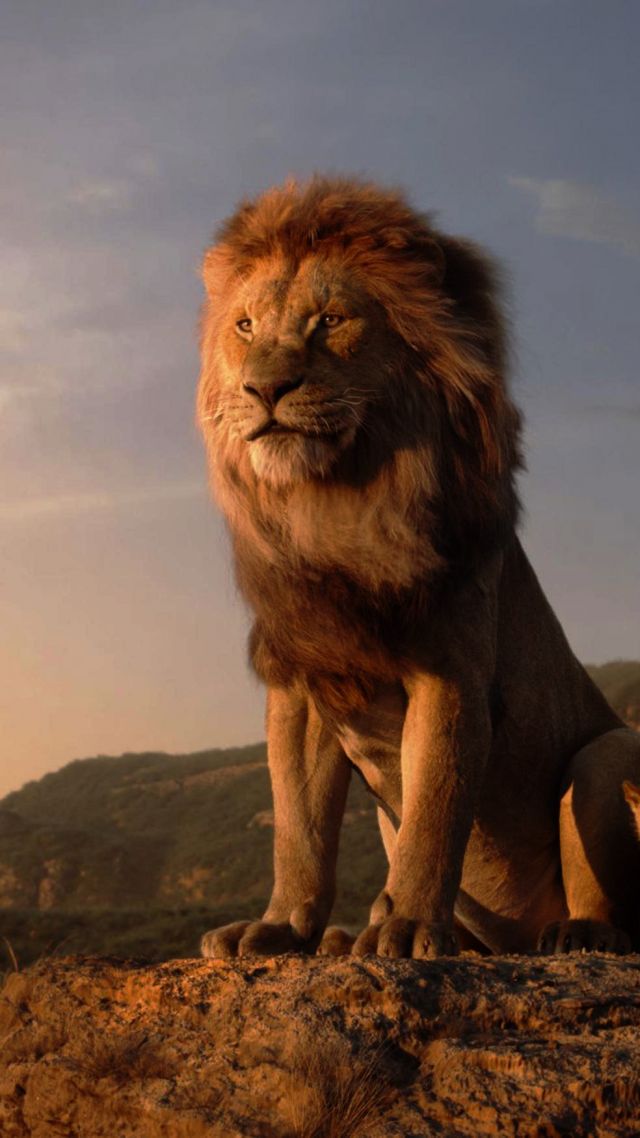 The Lion King, Hd - Iphone Lion King Wallpaper Hd , HD Wallpaper & Backgrounds