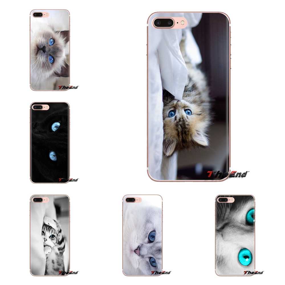 Blue Eyes Cat Hd Wallpaper For Samsung Galaxy S2 S3 - Xiaomi Mi 3 , HD Wallpaper & Backgrounds